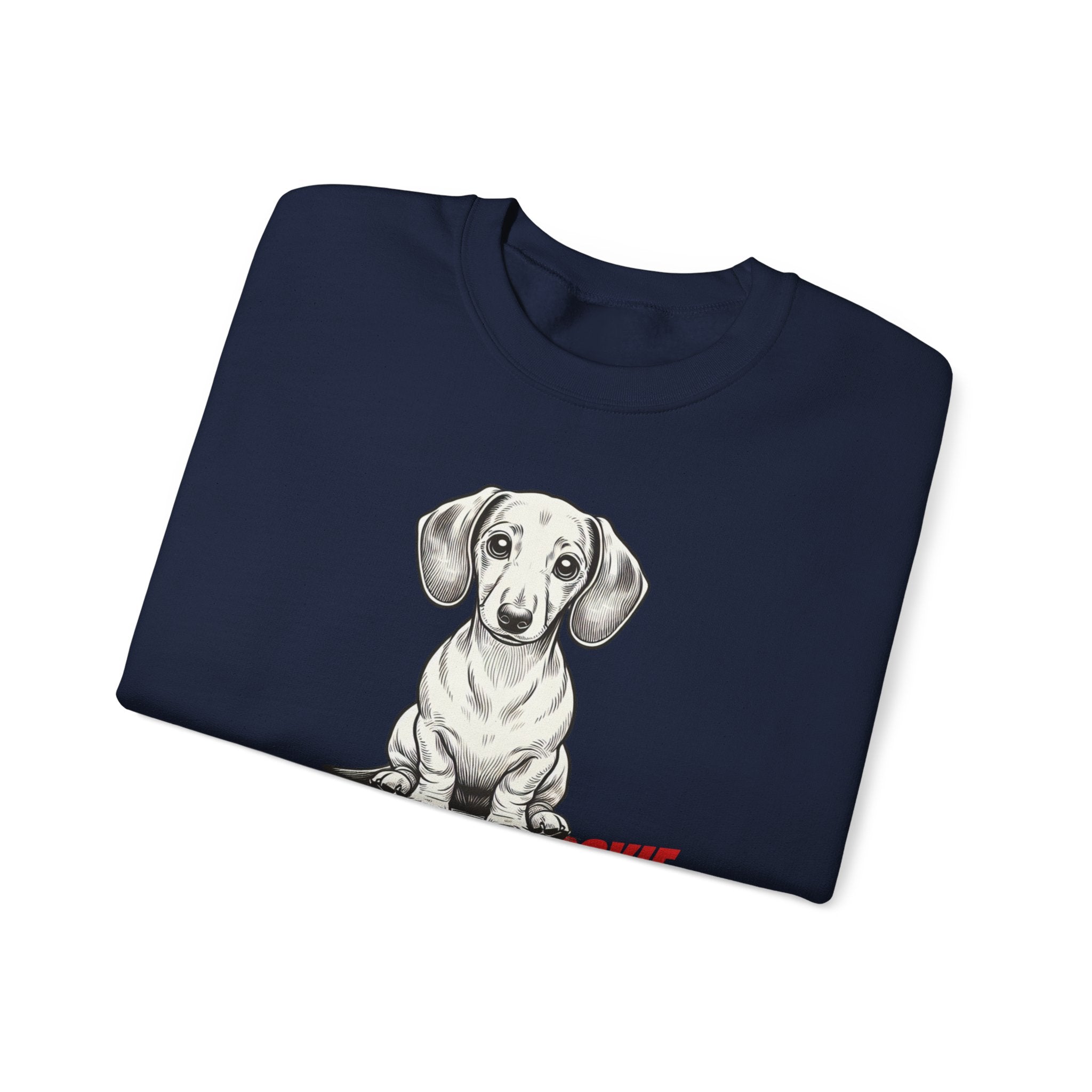 Dachshund Sweatshirt, Wiener Be Aware of Doxie shirt, Wiener Mom shirt, Doxie Lover Gift, Dachshund Owner Gift, Dog Mom Shirt, Wiener Tshirt