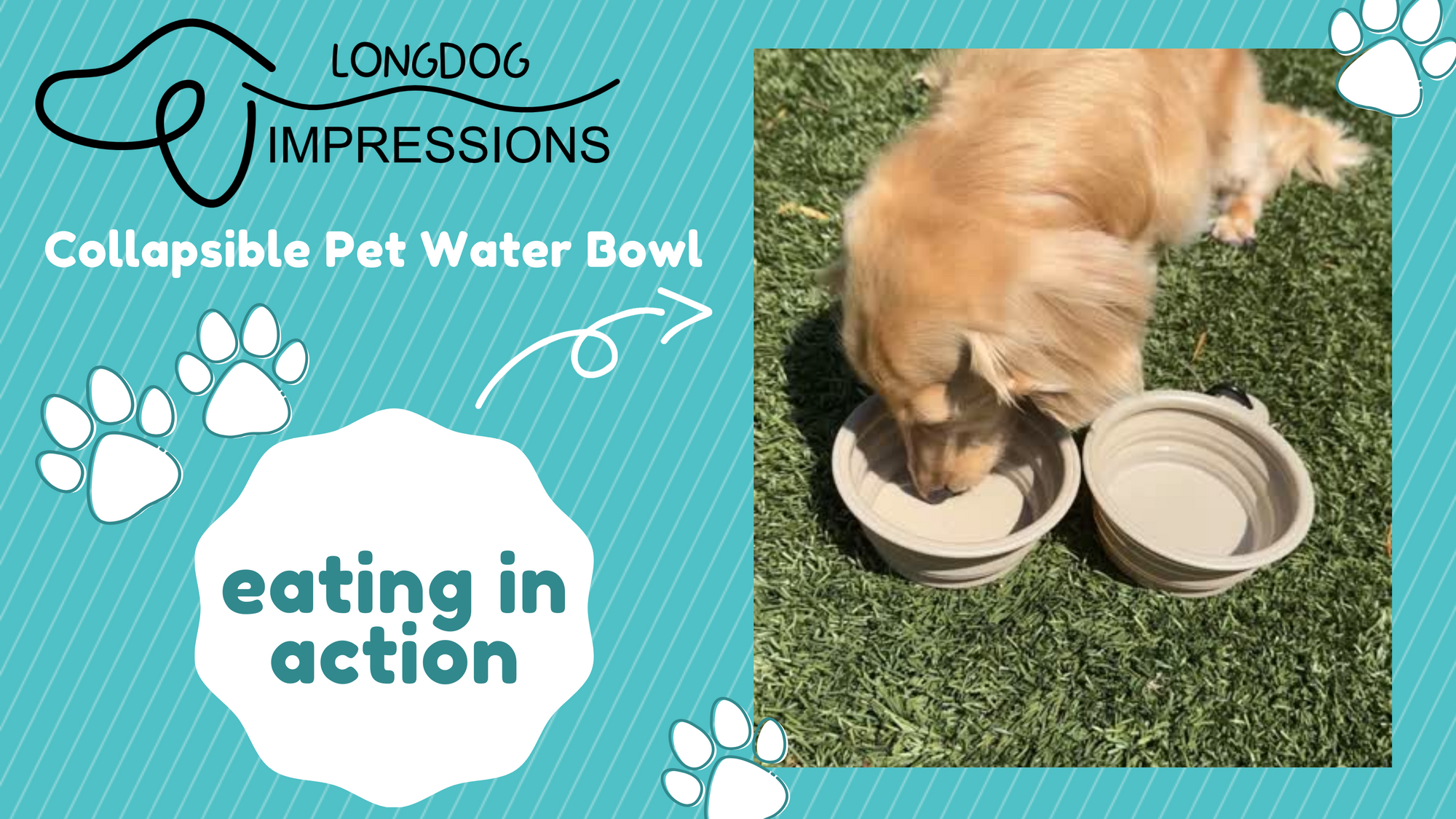LONGDOG IMPRESSIONS Collapsible Pet Water Bowls Video