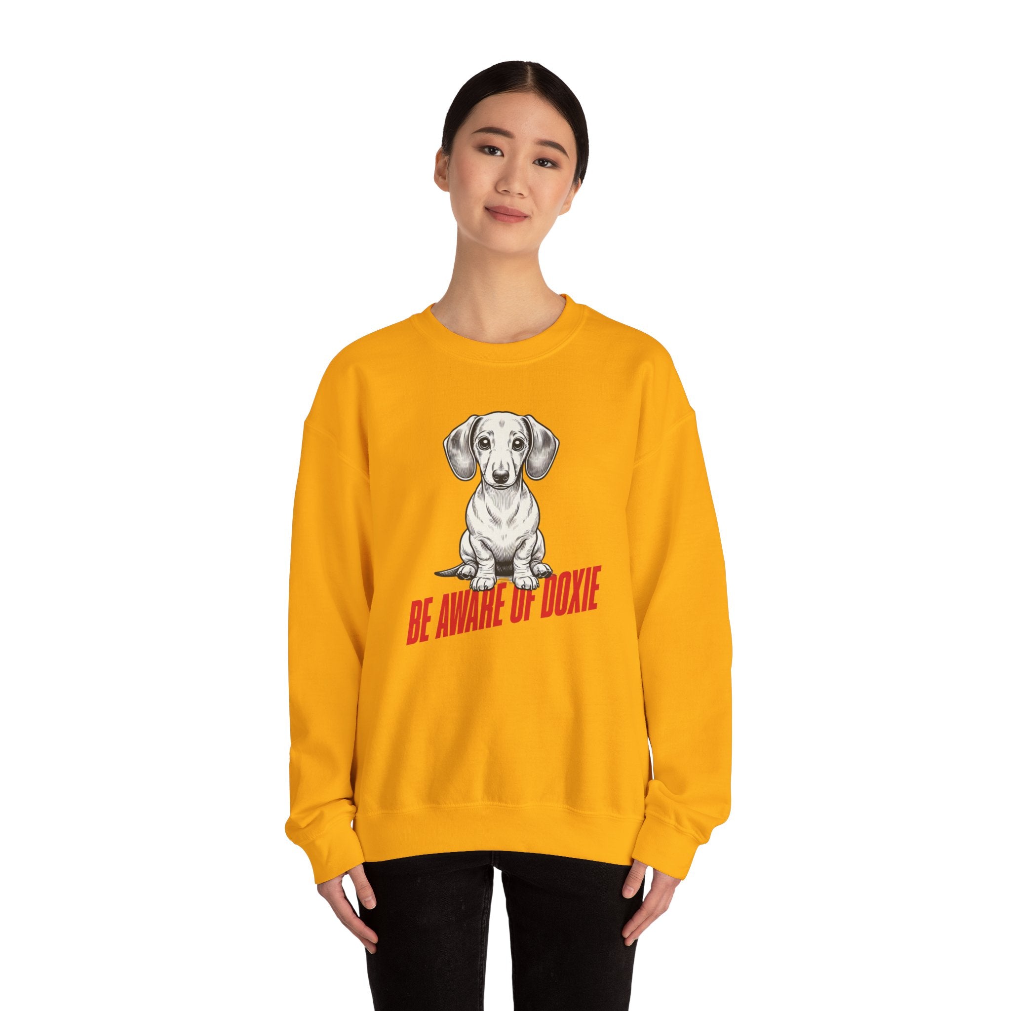 Dachshund Sweatshirt, Wiener Be Aware of Doxie shirt, Wiener Mom shirt, Doxie Lover Gift, Dachshund Owner Gift, Dog Mom Shirt, Wiener Tshirt