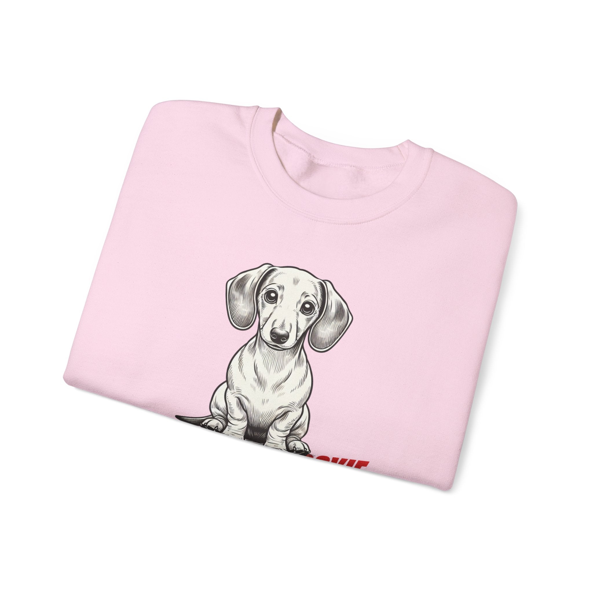 Dachshund Sweatshirt, Wiener Be Aware of Doxie shirt, Wiener Mom shirt, Doxie Lover Gift, Dachshund Owner Gift, Dog Mom Shirt, Wiener Tshirt