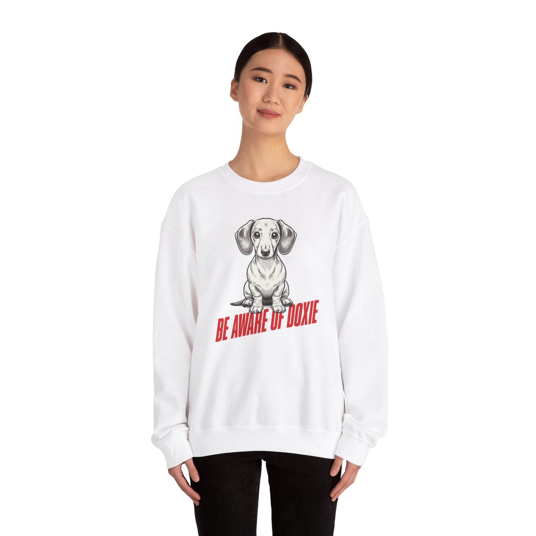 Dachshund Sweatshirt, Wiener Be Aware of Doxie shirt, Wiener Mom shirt, Doxie Lover Gift, Dachshund Owner Gift, Dog Mom Shirt, Wiener Tshirt