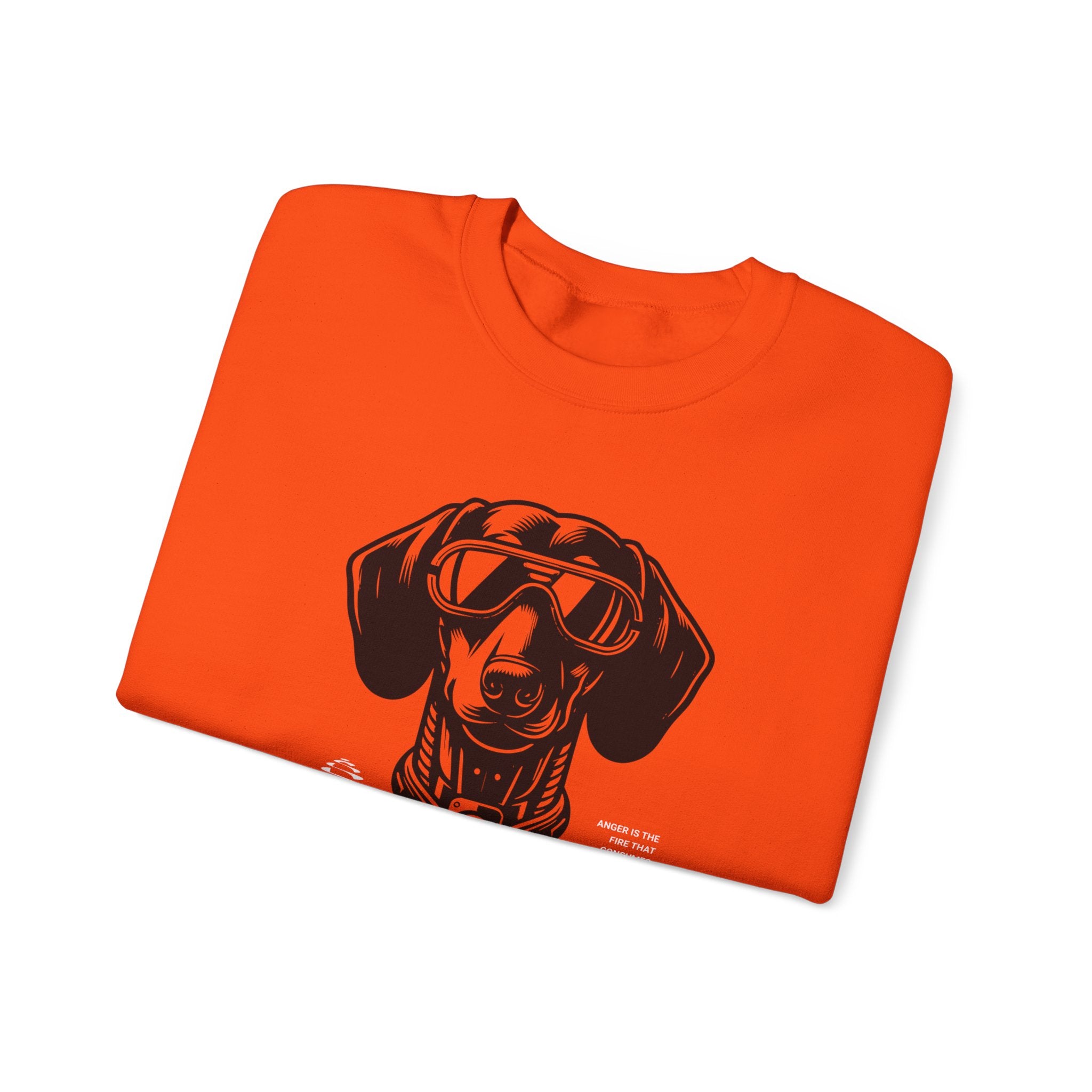 Doxie Owner Sweatshirt, Dachshund Cloth, Dachshund Gift, Pet Direct to Garment Shirt, Dachshund Pullover, Dog Mom Tshirt, Doxie Parent Shirt