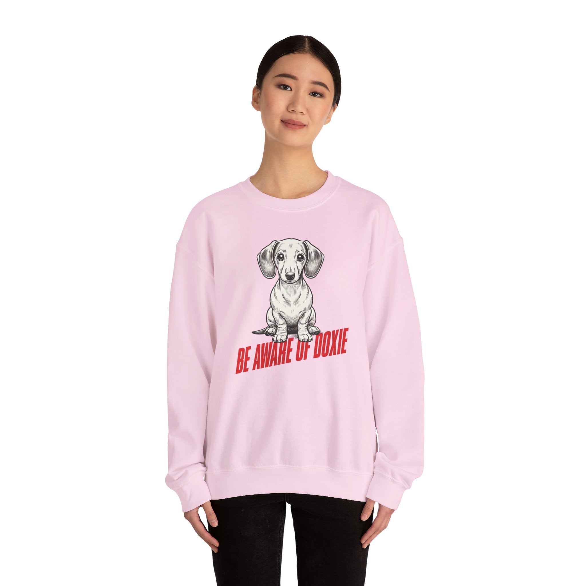 Dachshund Sweatshirt, Wiener Be Aware of Doxie shirt, Wiener Mom shirt, Doxie Lover Gift, Dachshund Owner Gift, Dog Mom Shirt, Wiener Tshirt