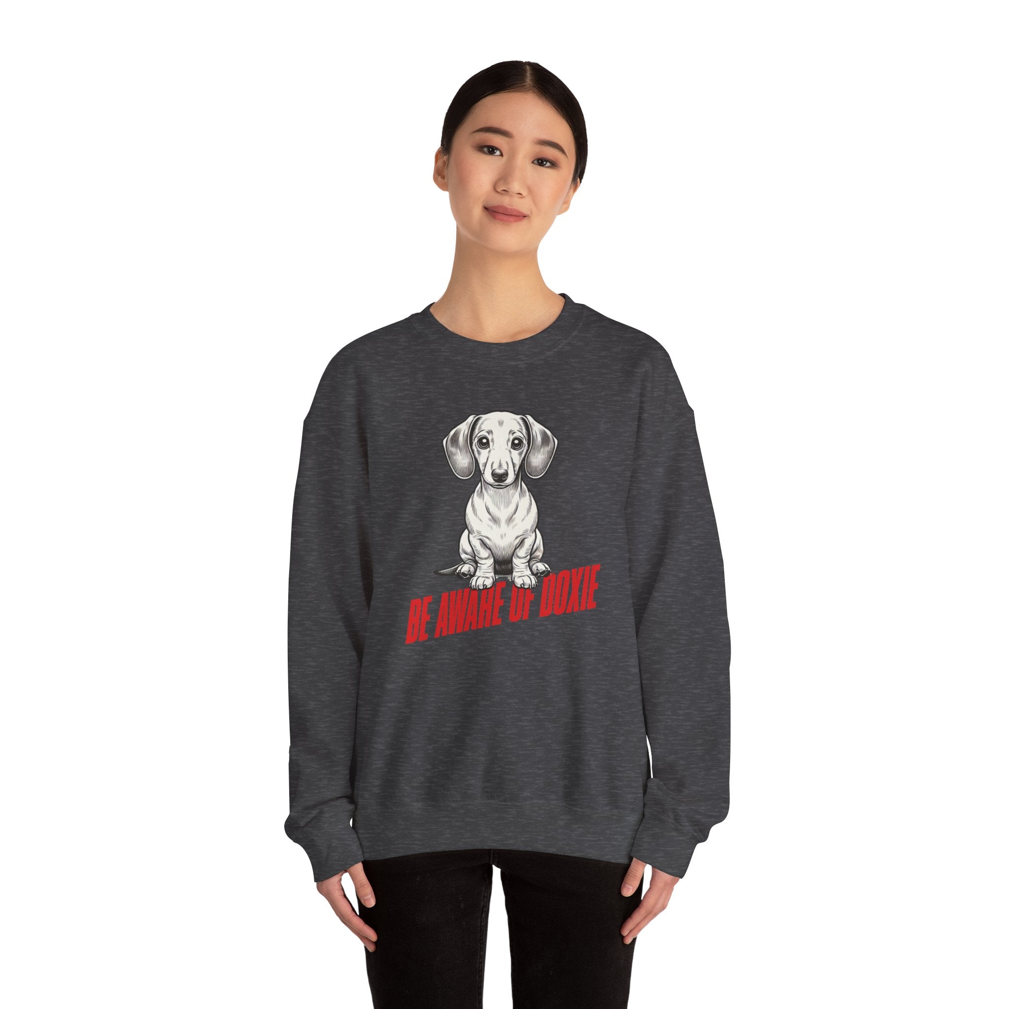 Dachshund Sweatshirt, Wiener Be Aware of Doxie shirt, Wiener Mom shirt, Doxie Lover Gift, Dachshund Owner Gift, Dog Mom Shirt, Wiener Tshirt
