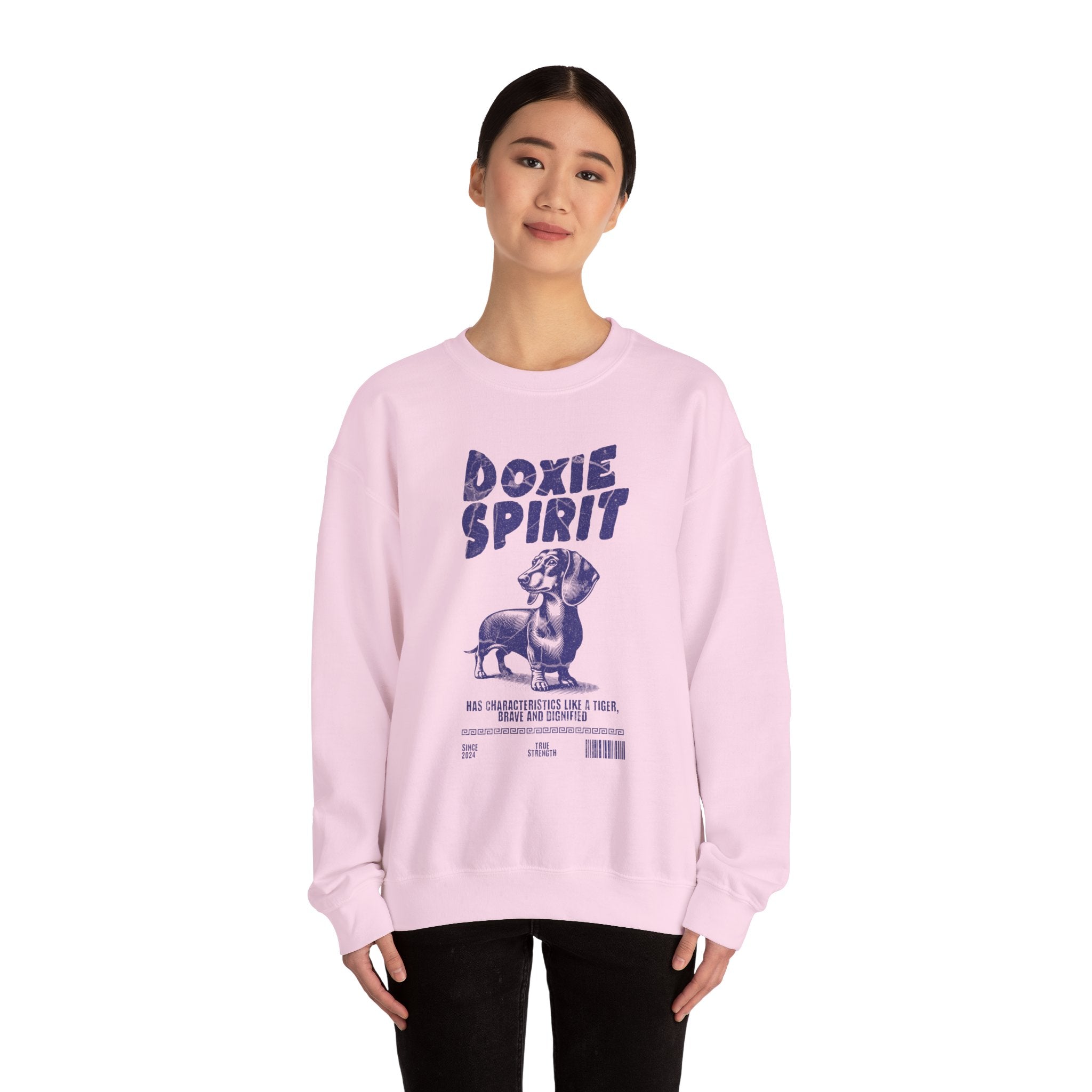 Dachshund Spirit Shirt, Dachshund Cool sweatshirt, Wiener Parent Sweater, Doxie fan cool sweater, Dachshund Tee, Doxie Owner gift, Pet Shirt