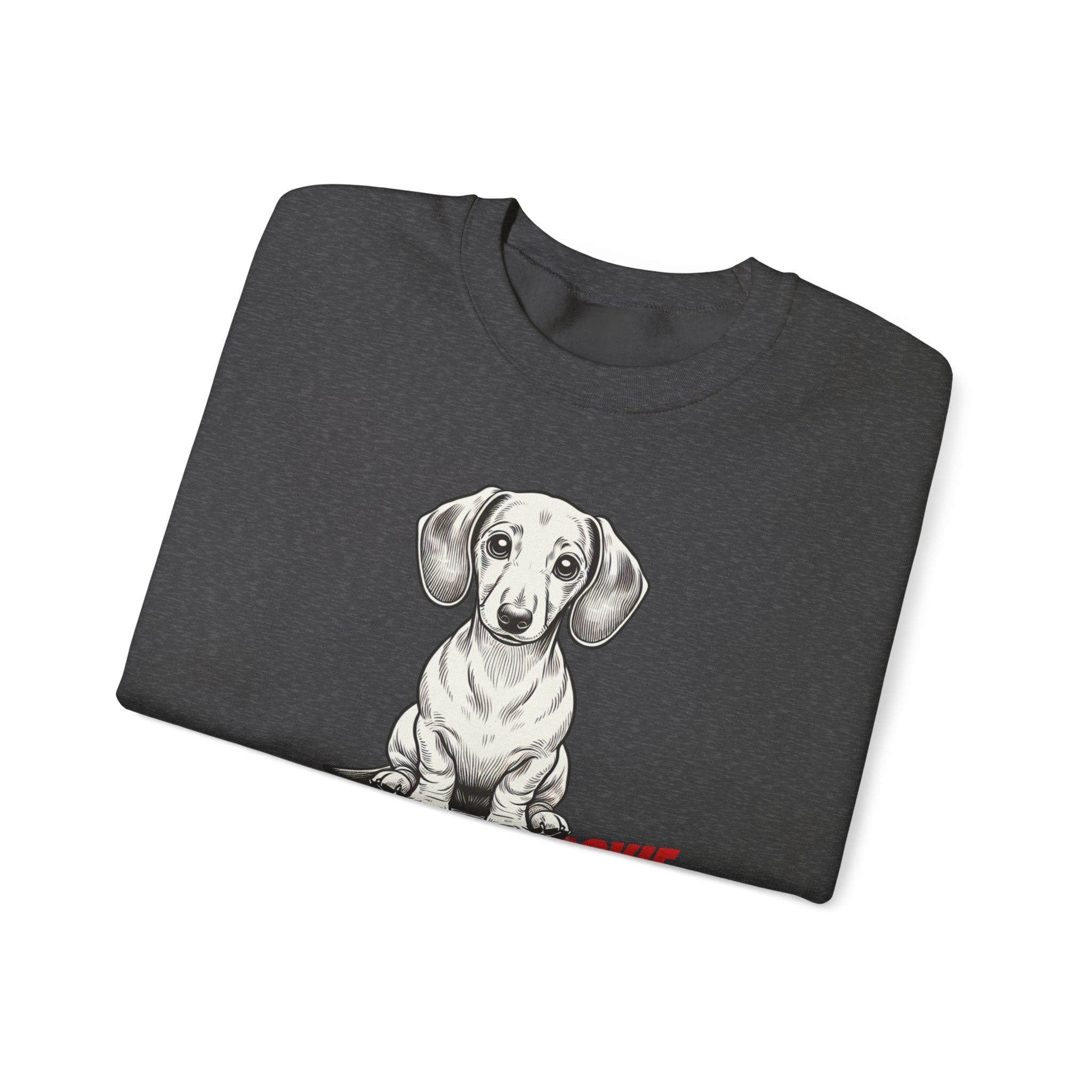 Dachshund Sweatshirt, Wiener Be Aware of Doxie shirt, Wiener Mom shirt, Doxie Lover Gift, Dachshund Owner Gift, Dog Mom Shirt, Wiener Tshirt