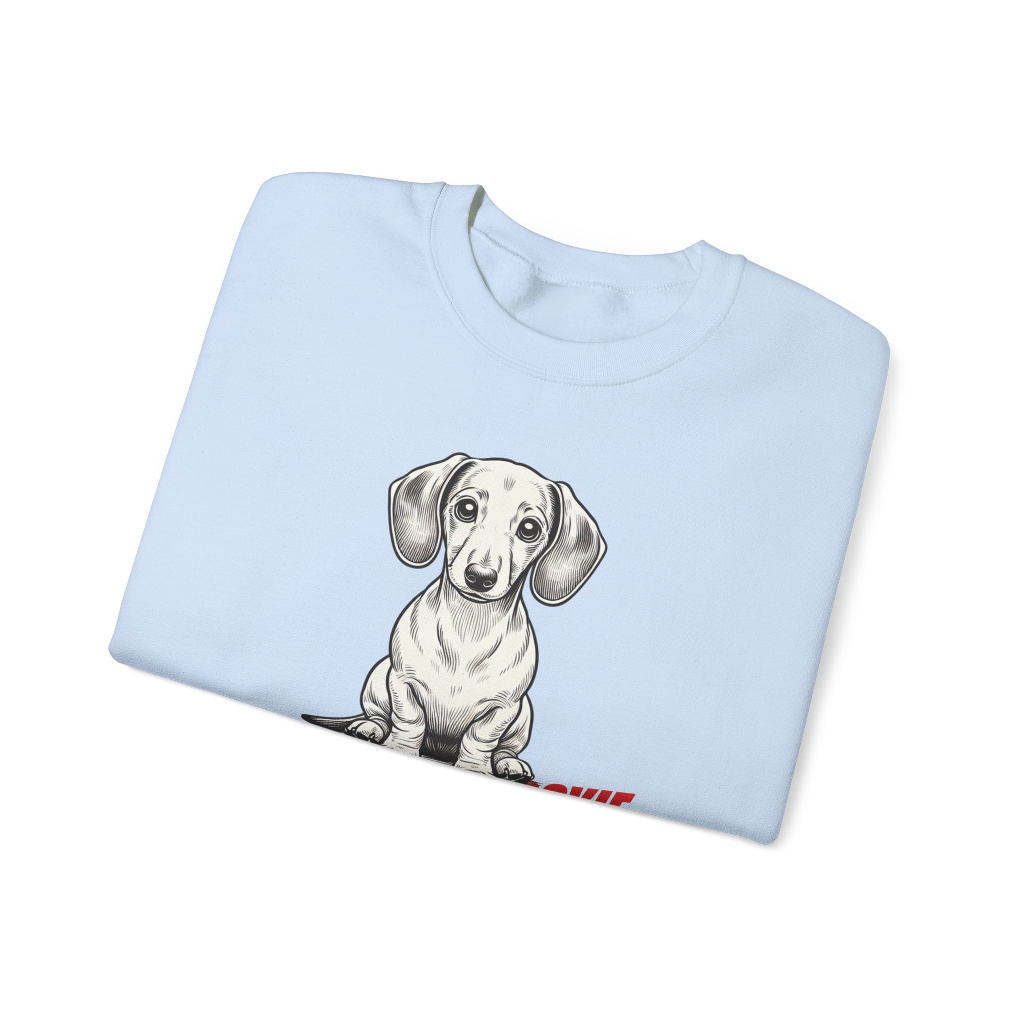 Dachshund Sweatshirt, Wiener Be Aware of Doxie shirt, Wiener Mom shirt, Doxie Lover Gift, Dachshund Owner Gift, Dog Mom Shirt, Wiener Tshirt
