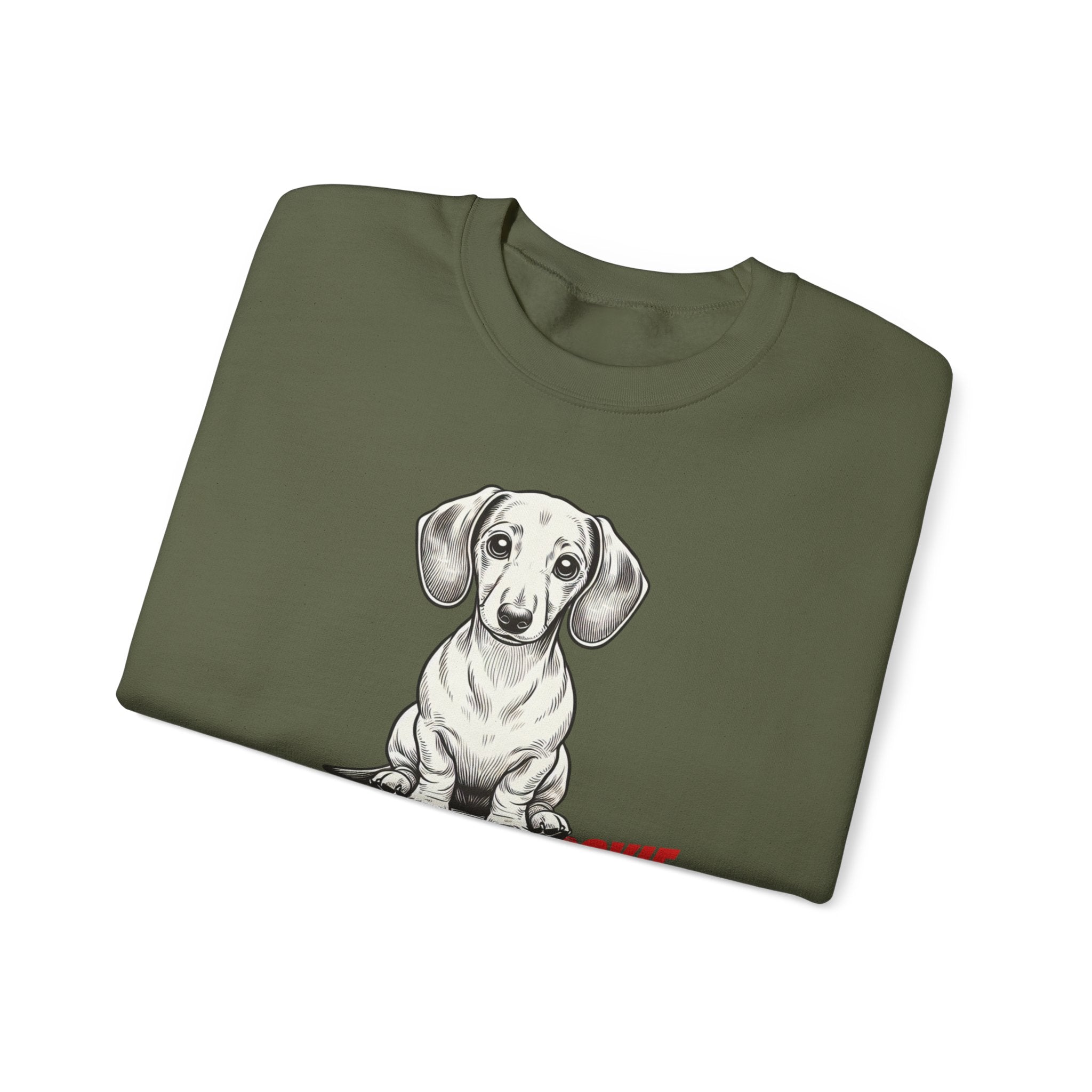 Dachshund Sweatshirt, Wiener Be Aware of Doxie shirt, Wiener Mom shirt, Doxie Lover Gift, Dachshund Owner Gift, Dog Mom Shirt, Wiener Tshirt