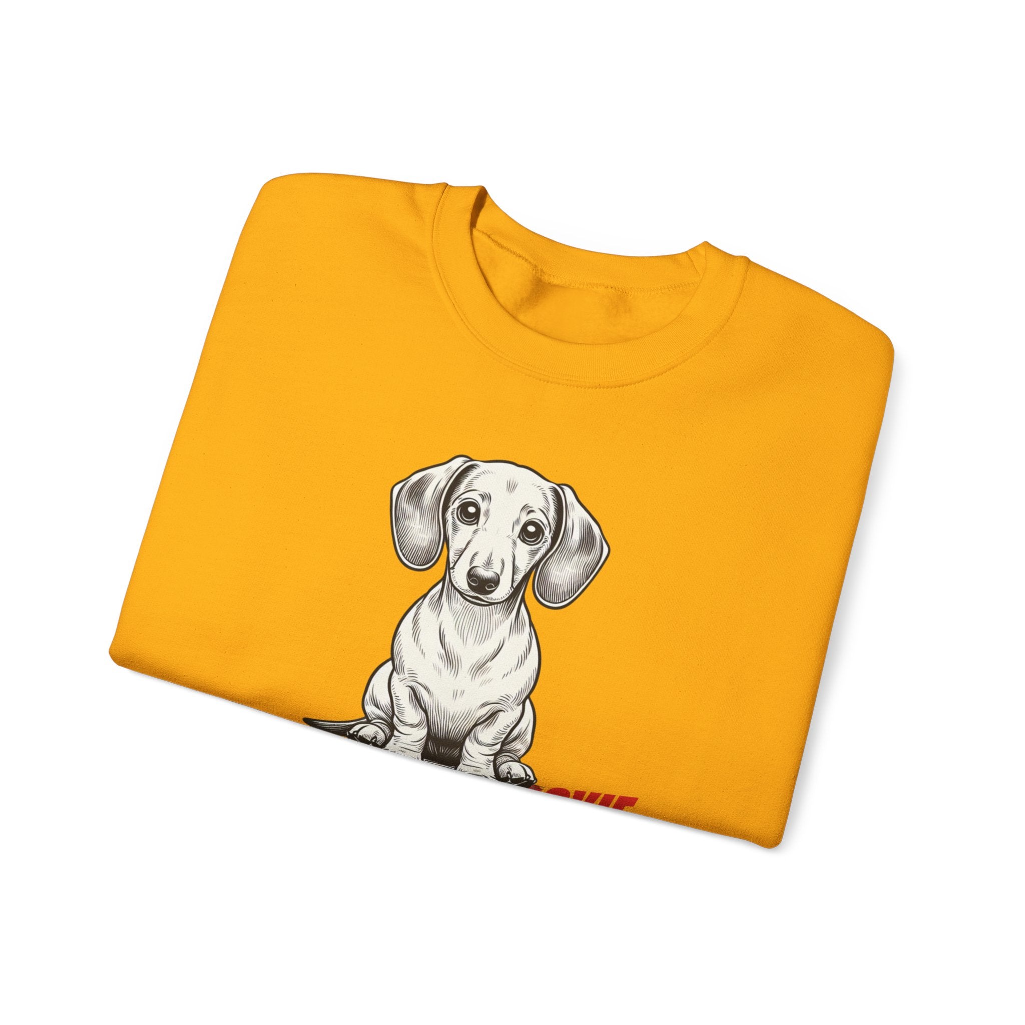 Dachshund Sweatshirt, Wiener Be Aware of Doxie shirt, Wiener Mom shirt, Doxie Lover Gift, Dachshund Owner Gift, Dog Mom Shirt, Wiener Tshirt