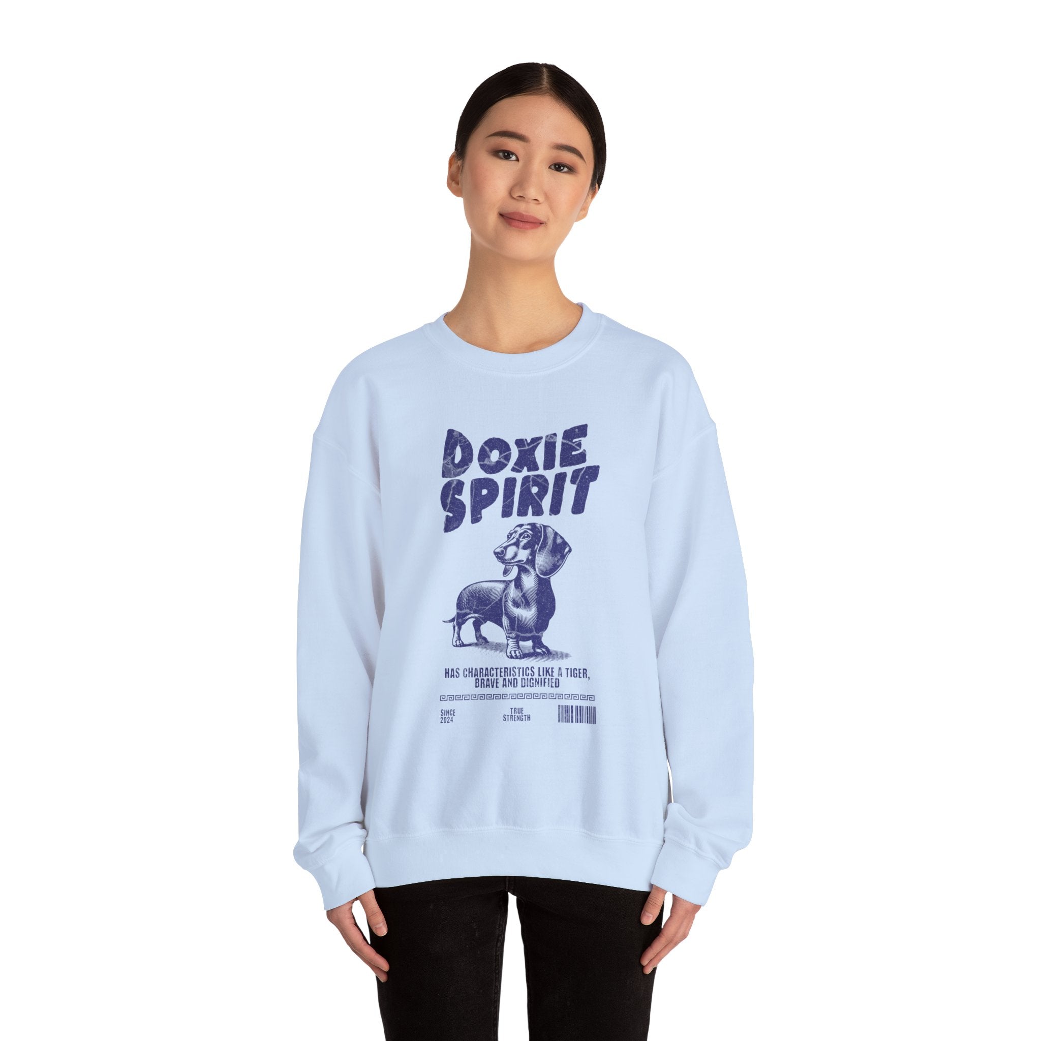Dachshund Spirit Shirt, Dachshund Cool sweatshirt, Wiener Parent Sweater, Doxie fan cool sweater, Dachshund Tee, Doxie Owner gift, Pet Shirt