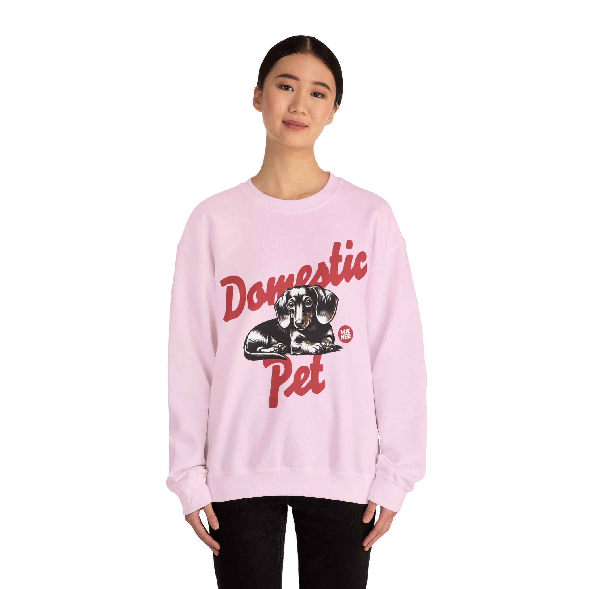 Dachshund Sweatershirt, Dachshund Pet shirt, Wiener Mom Sweater, Doxie sweater, Dachshund Parents Shirt, Doxie Owner gift, Wiener Mom shirt