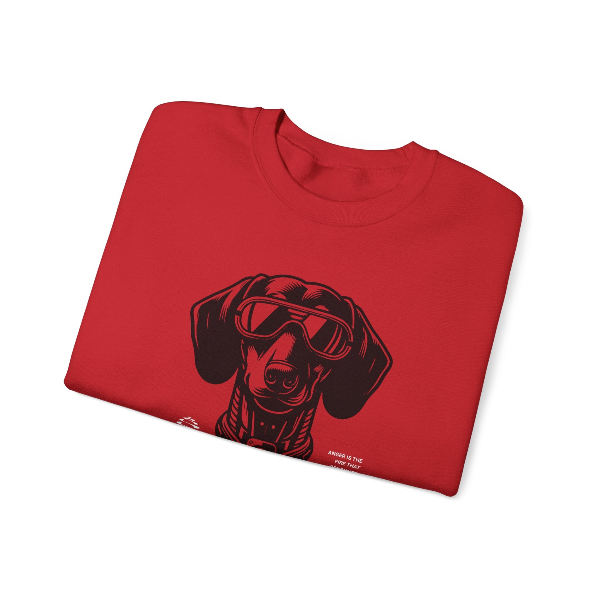 Doxie Owner Sweatshirt, Dachshund Cloth, Dachshund Gift, Pet Direct to Garment Shirt, Dachshund Pullover, Dog Mom Tshirt, Doxie Parent Shirt