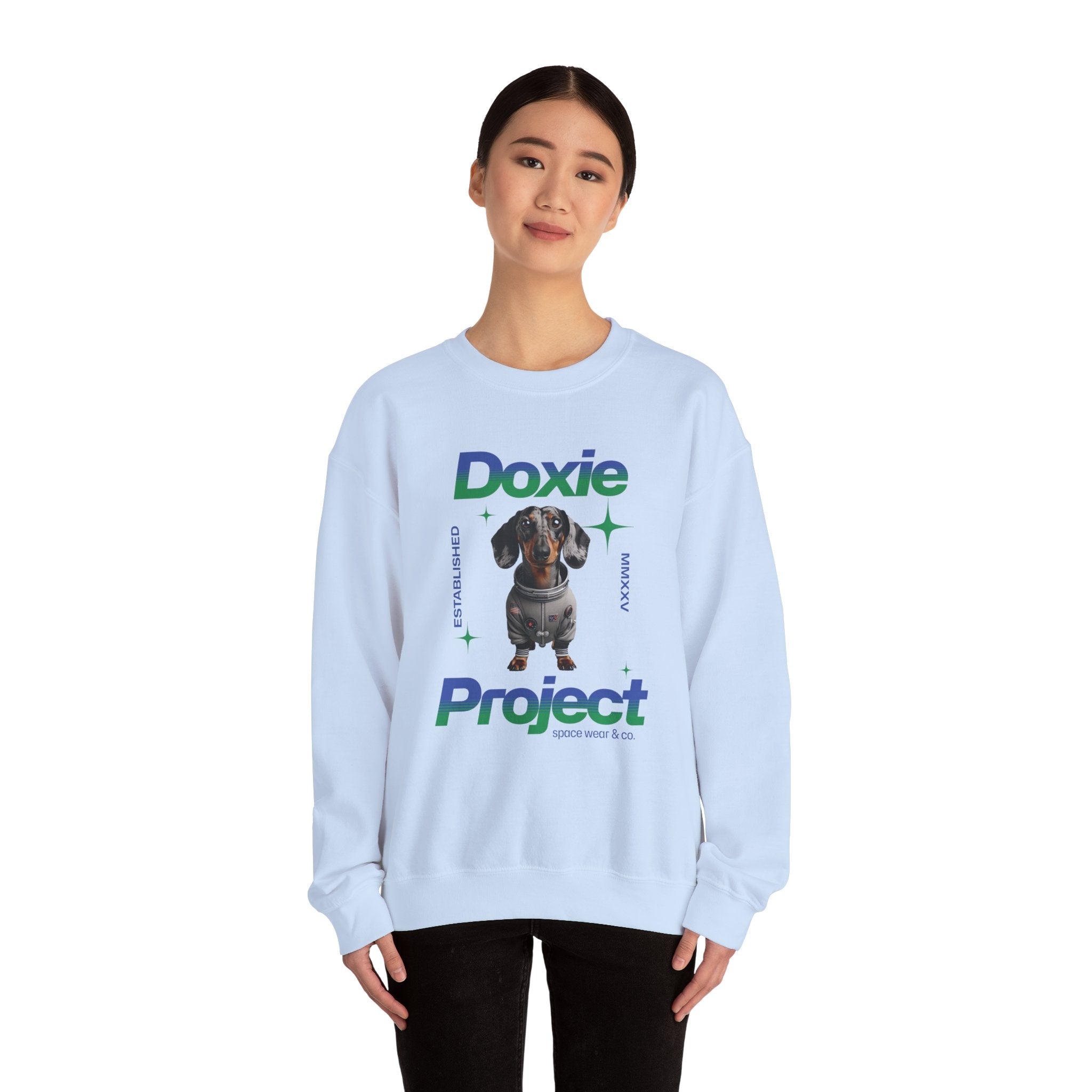 Dachshund Lover Shirt, Dachshund Cool sweatshirt, Wiener Dad Sweater, Doxie parent sweater, Dachshund Tee, Doxie Owner gift, Pet Mom shirt