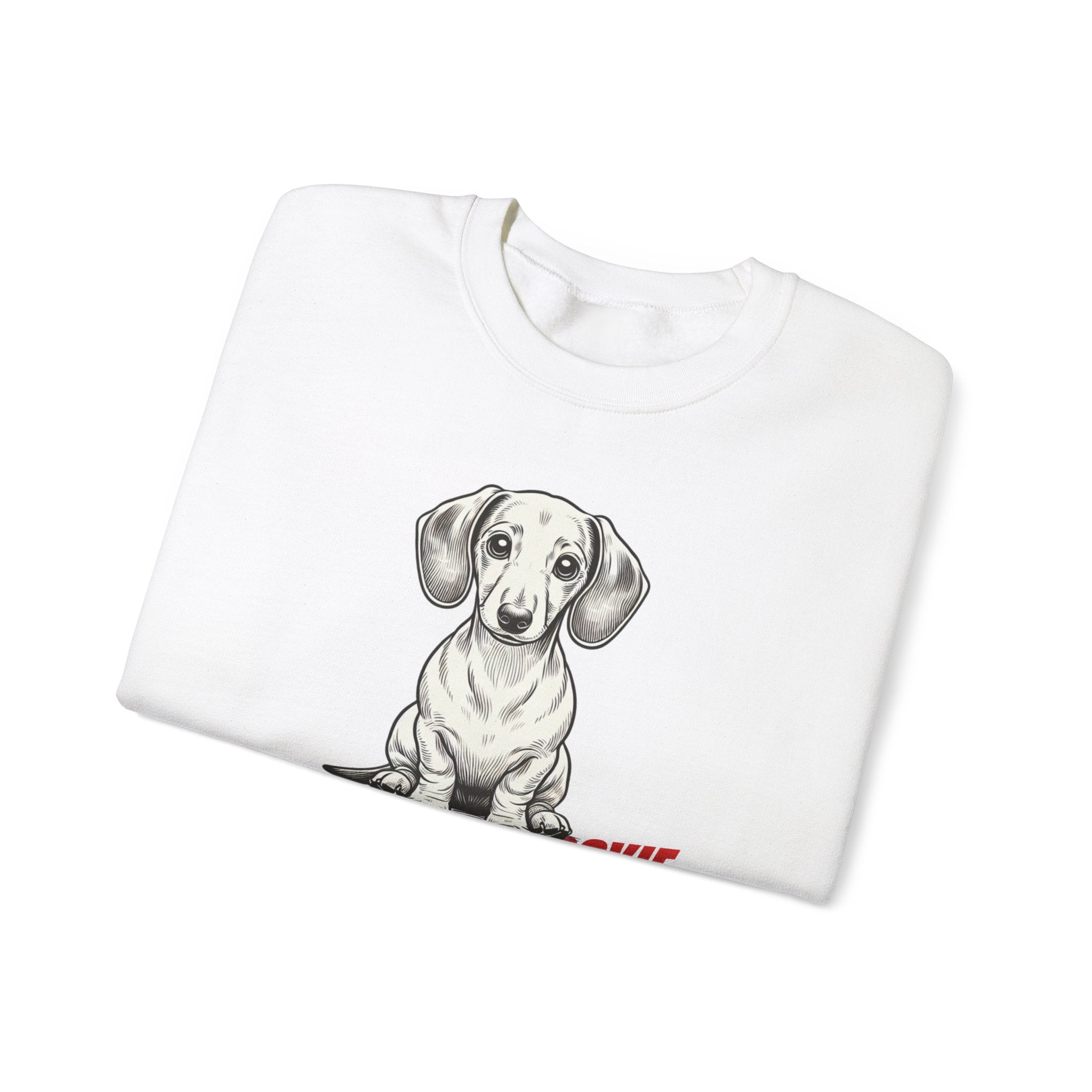 Dachshund Sweatshirt, Wiener Be Aware of Doxie shirt, Wiener Mom shirt, Doxie Lover Gift, Dachshund Owner Gift, Dog Mom Shirt, Wiener Tshirt
