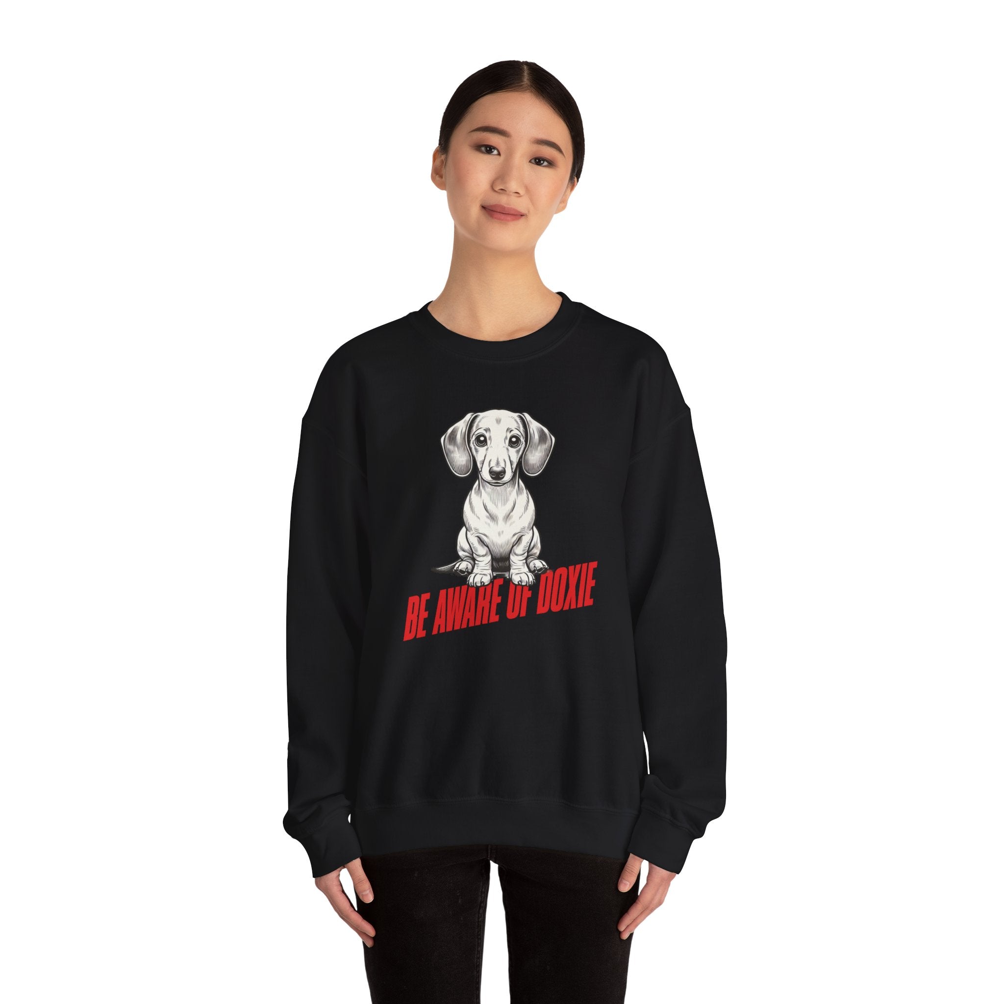 Dachshund Sweatshirt, Wiener Be Aware of Doxie shirt, Wiener Mom shirt, Doxie Lover Gift, Dachshund Owner Gift, Dog Mom Shirt, Wiener Tshirt