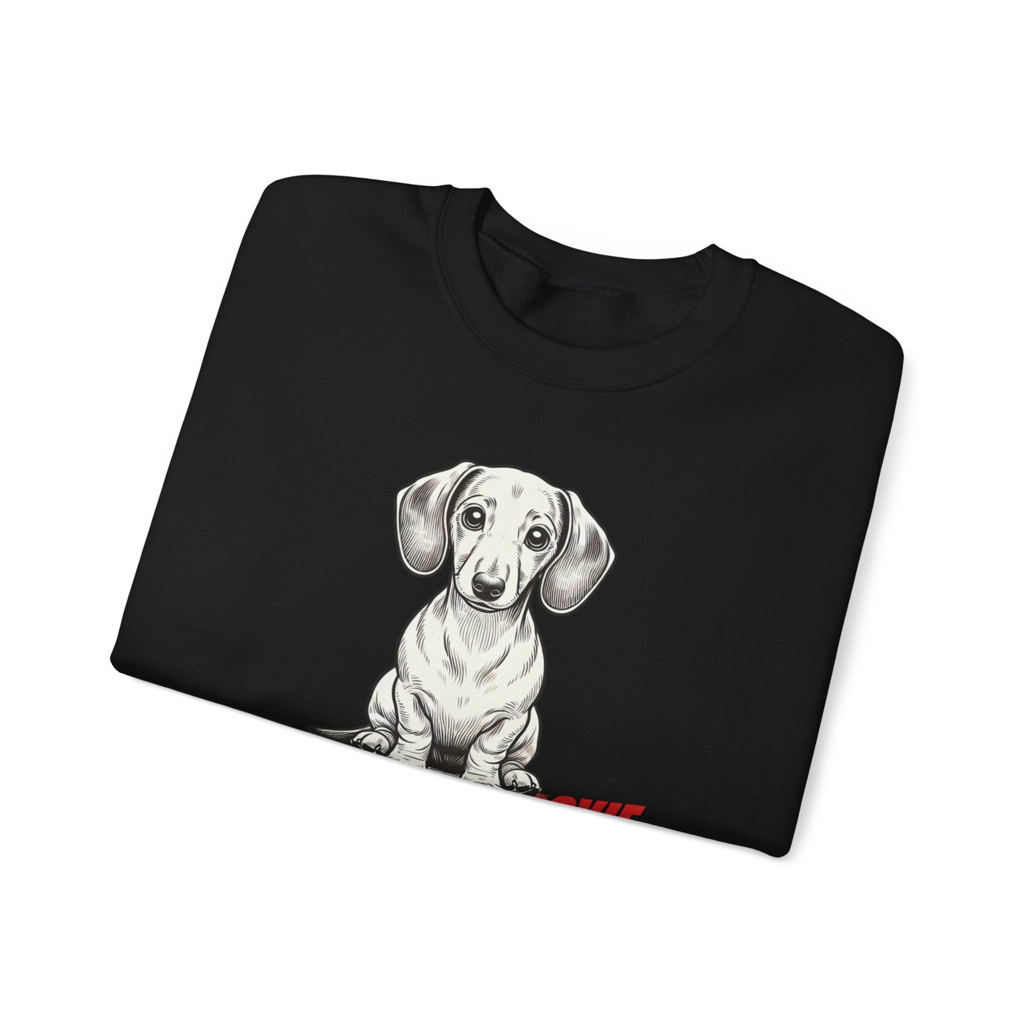 Dachshund Sweatshirt, Wiener Be Aware of Doxie shirt, Wiener Mom shirt, Doxie Lover Gift, Dachshund Owner Gift, Dog Mom Shirt, Wiener Tshirt