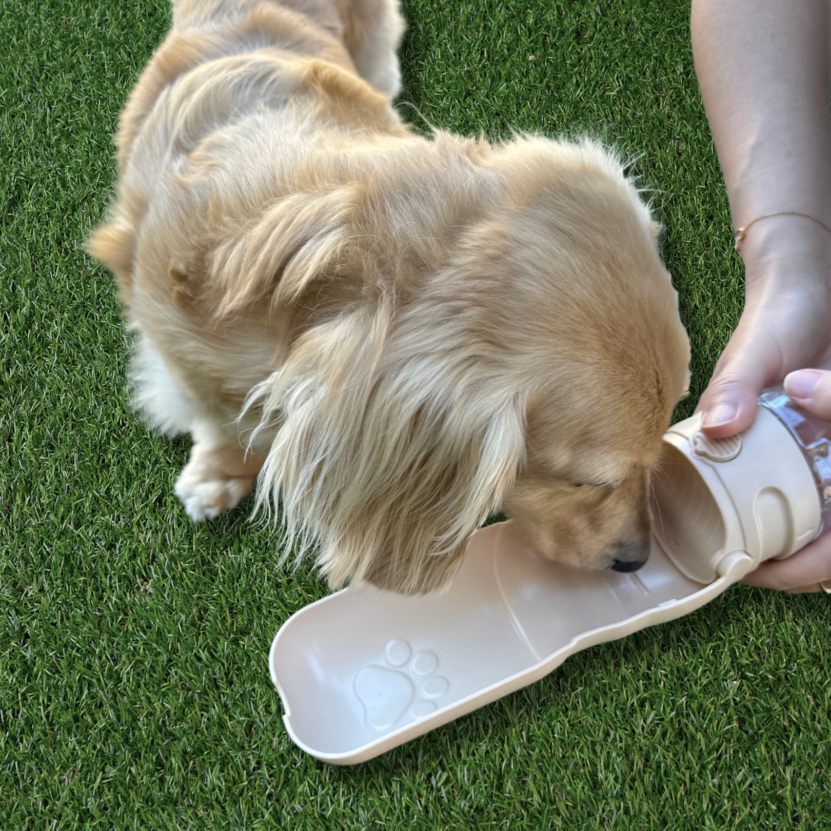 LONGDOG IMPRESSIONS On the go Pet Hydration with actual pet