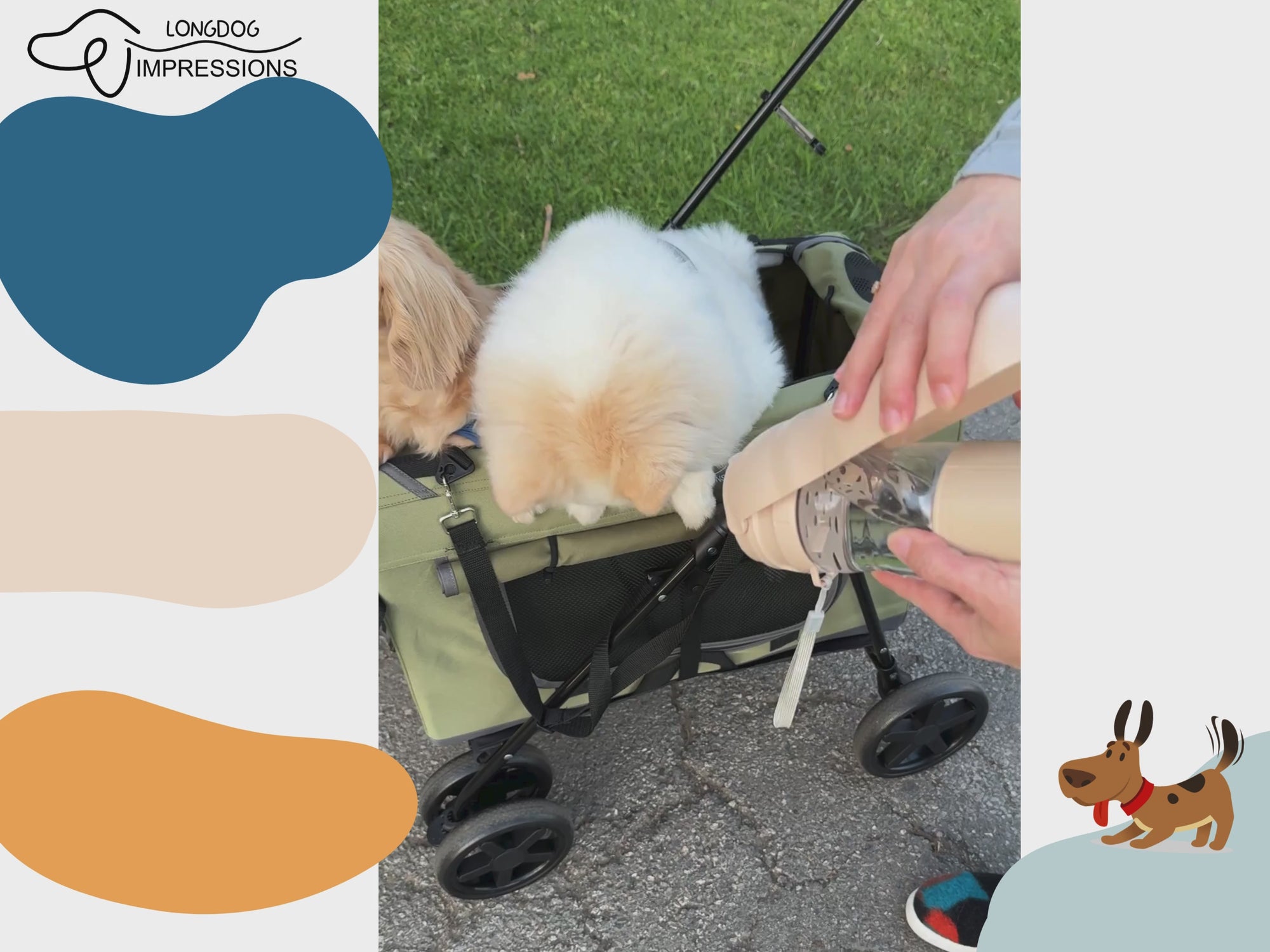 LONGODG IMPRESSIONS Pet Water Bottle for 2 pets video